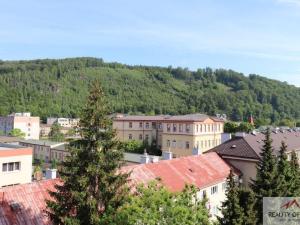 Pronájem bytu 1+kk, Děčín - Děčín I-Děčín, Duchcovská, 25 m2