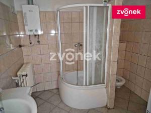 Prodej komerční nemovitosti, Uherský Ostroh - Ostrožské Předměstí, 717 m2