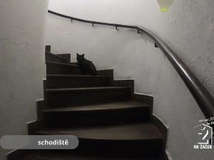 Prodej rodinného domu, České Budějovice, Hradební, 521 m2