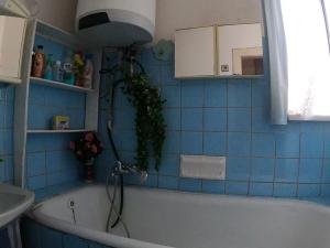 Prodej vily, České Budějovice, Hálkova, 256 m2