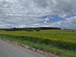 Prodej chaty, Borovany, 54 m2