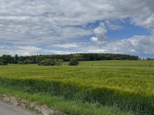 Prodej chaty, Borovany, 54 m2