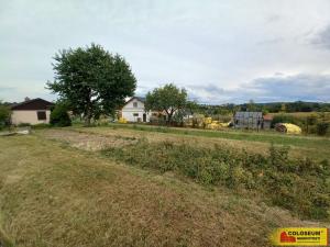 Prodej pozemku pro bydlení, Olešnice, 990 m2