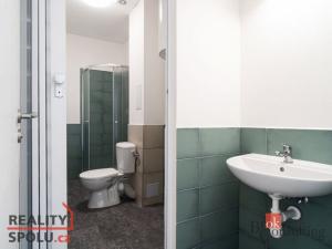 Pronájem bytu 2+kk, Ostrava - Přívoz, Palackého, 53 m2