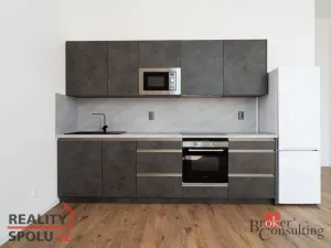 Pronájem bytu 2+kk, Ostrava - Přívoz, Palackého, 53 m2