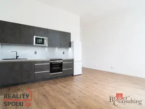 Pronájem bytu 2+kk, Ostrava - Přívoz, Palackého, 53 m2