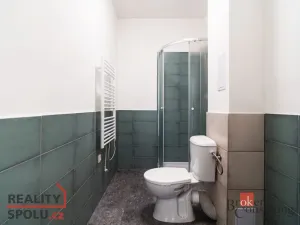 Pronájem bytu 2+kk, Ostrava - Přívoz, Palackého, 53 m2