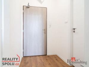 Pronájem bytu 1+kk, Ostrava - Přívoz, Palackého, 25 m2
