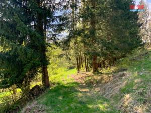 Prodej rodinného domu, Kašperské Hory, 510 m2