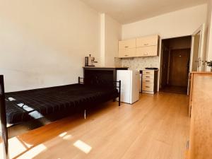 Pronájem bytu 1+kk, Praha - Žižkov, Buchovcova, 24 m2