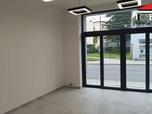 Pronájem obchodního prostoru, Opava, Olomoucká, 33 m2