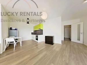 Pronájem bytu 1+kk, Praha - Žižkov, Olgy Havlové, 38 m2