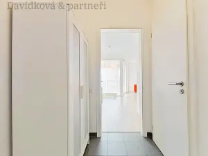 Pronájem bytu 1+kk, Praha - Žižkov, Olgy Havlové, 38 m2
