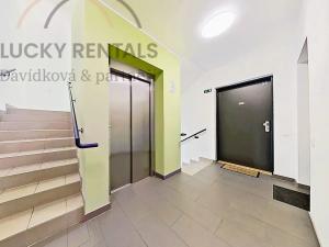Pronájem bytu 1+kk, Praha - Žižkov, Olgy Havlové, 38 m2