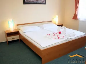 Prodej ubytování, Dehtáře - Onšovice, 456 m2