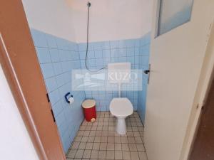 Prodej vícegeneračního domu, Zbytiny - Blažejovice, 453 m2