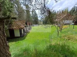 Prodej vícegeneračního domu, Zbytiny - Blažejovice, 453 m2