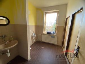 Prodej obchodního prostoru, Brumovice, Hlavní, 815 m2