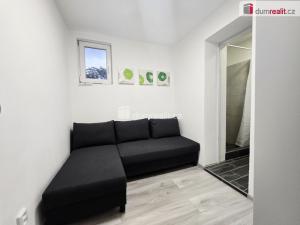 Pronájem bytu 1+kk, Lužná, Nová, 17 m2