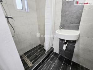 Pronájem bytu 1+kk, Lužná, Nová, 17 m2