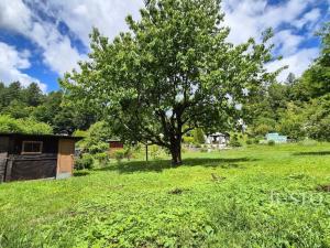 Prodej zahrady, Písek - Budějovické Předměstí, U Honzíčka, 417 m2