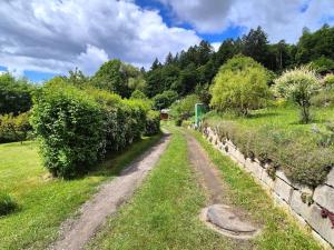 Prodej zahrady, Písek - Budějovické Předměstí, U Honzíčka, 417 m2