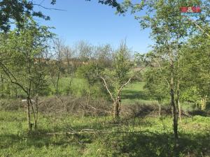Prodej zahrady, Postoloprty - Mradice, 1582 m2