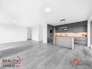 Pronájem bytu 4+kk, Plzeň, U Borského parku, 118 m2