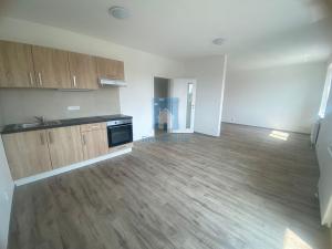 Pronájem bytu 1+kk, Plzeň, Železniční, 46 m2