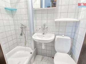 Prodej chaty, Dolní Domaslavice, 60 m2