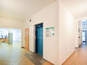Pronájem bytu 2+kk, Praha - Vinohrady, Hradecká, 80 m2