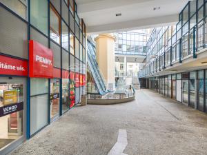 Pronájem bytu 2+kk, Praha - Vinohrady, Hradecká, 80 m2