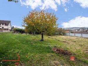 Prodej pozemku pro bydlení, Chotýšany, 1377 m2