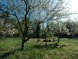 Prodej chaty, Halenkovice, 78 m2