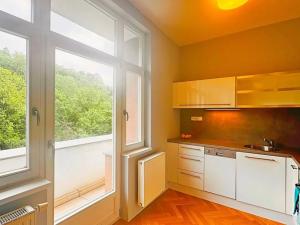 Pronájem bytu 1+kk, Brno, Úvoz, 51 m2