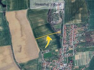 Prodej pole, Moravany, 3814 m2