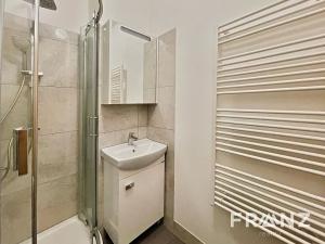 Pronájem bytu 1+1, Ostrava, Březinova, 41 m2