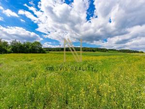 Prodej pozemku pro bydlení, Švihov, 2475 m2
