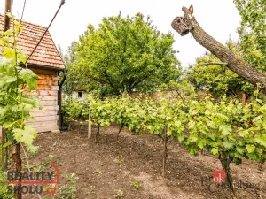 Prodej rodinného domu, Perná, 403 m2