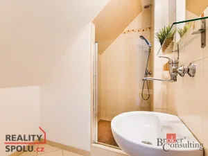 Prodej rodinného domu, Perná, 403 m2