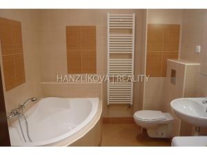Pronájem bytu 2+kk, České Budějovice - České Budějovice 3, Jeremiášova, 45 m2