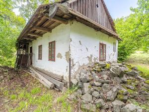 Prodej chalupy, Dzbel, 243 m2