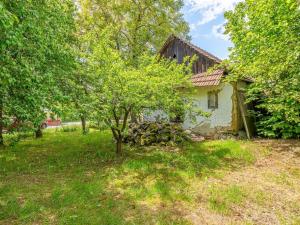 Prodej chalupy, Dzbel, 243 m2