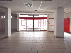 Pronájem obchodního prostoru, Plzeň - Lobzy, Sousedská, 1250 m2