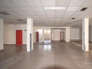 Pronájem obchodního prostoru, Plzeň - Lobzy, Sousedská, 1250 m2