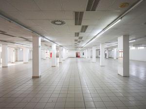 Pronájem obchodního prostoru, Plzeň - Lobzy, Sousedská, 1250 m2
