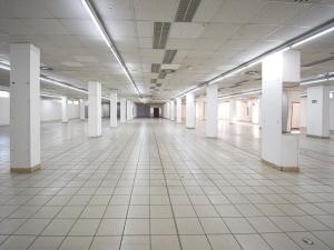 Pronájem obchodního prostoru, Plzeň - Lobzy, Sousedská, 1250 m2