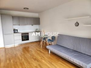 Pronájem bytu 1+kk, Praha - Žižkov, Pitterova, 44 m2