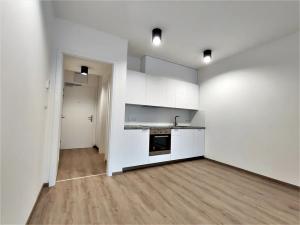 Pronájem bytu 1+kk, Brno, Placzkova, 29 m2