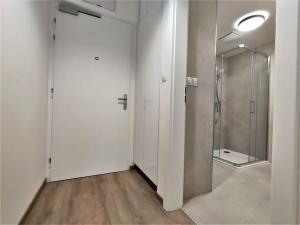 Pronájem bytu 1+kk, Brno, Placzkova, 29 m2
